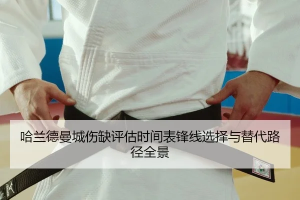 ha-lan-de-man-cheng-shang-que-ping-gu-shi-jian-biao-feng-xian-xuan-ze-yu-ti-dai-lu-jing-quan-jing-2-895.jpg