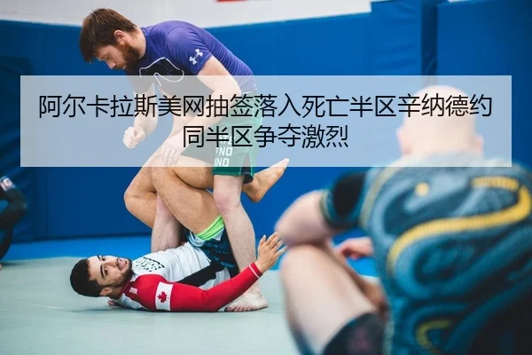 a-er-ka-la-si-mei-wang-chou-qian-luo-ru-si-wang-ban-qu-xin-na-de-yue-tong-ban-qu-zheng-duo-ji-lie-2-438.jpg